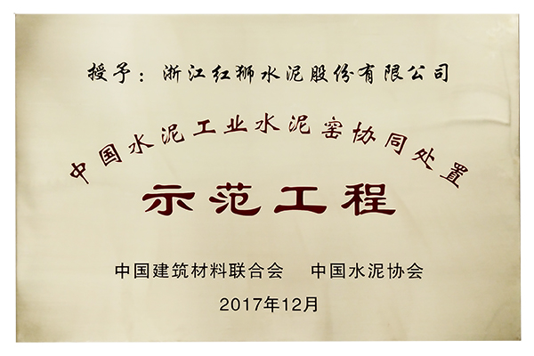中國水泥工業水泥窯協同處置示範工程