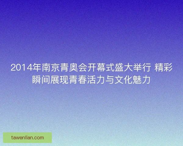 2014年南京青奥会开幕式盛大举行 精彩瞬间展现青春活力与文化魅力